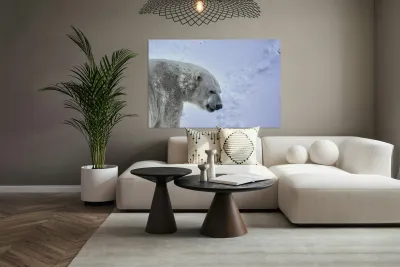 JBS 9247 Reproduction