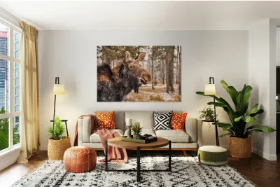 JBS 4902  Reproduction