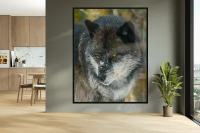 JBS 9093 Reproduction