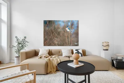 JBS 8279 Reproduction