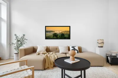 Foggy Bottom Reproduction