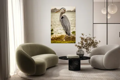 Store Key Biscayne AE2A9016 Reproduction