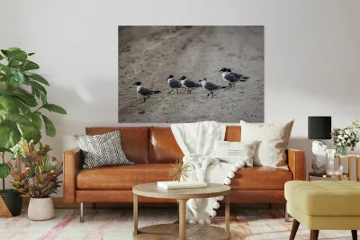 Store Dania Beach AE2A8947 Reproduction