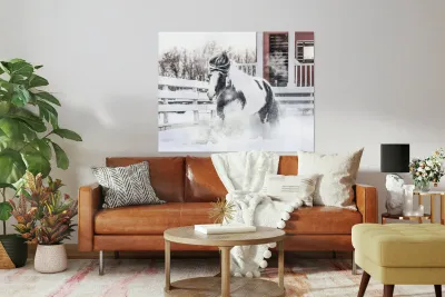 Breathe of Winter Reproduction