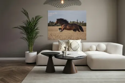 Free Spirit Reproduction