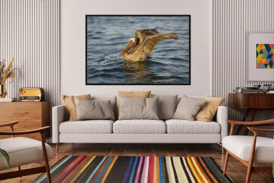 Brown Pelican  Reproduction