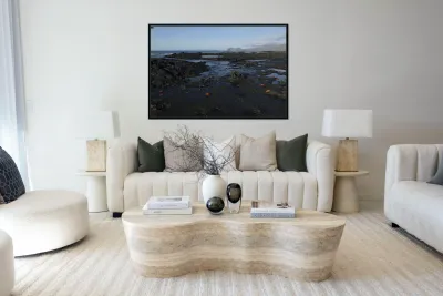 Sally Lightfoot crabs Reproduction