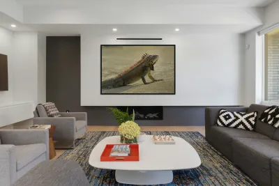 Green Iguana Reproduction