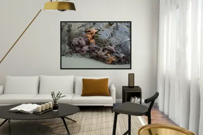 Sea stars on the rocks at Tonquin Beach Reproduction