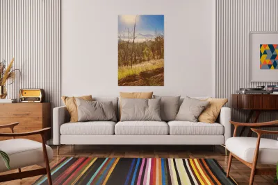 Misty Horizons Reproduction