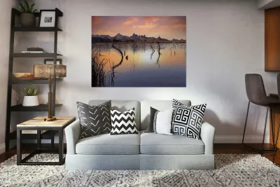 Catfish Paradise  Reproduction