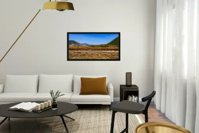 Layers of Winter Promise Reproduction