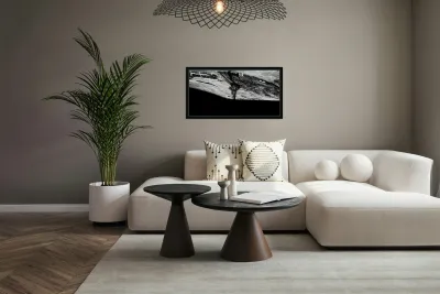 Solitary Sentinel Reproduction