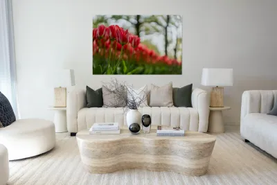  SBP6142 Reproduction