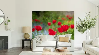  SBP4390 Reproduction