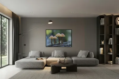 Mycena Mushroom Reproduction