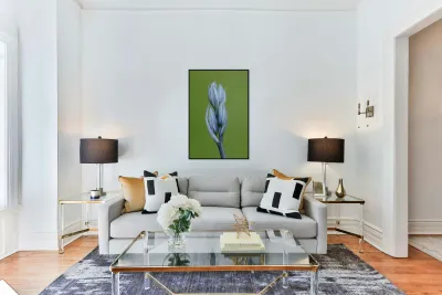 Common Camas Camassia quamash Cowichan Garry Oak Preserve Cowichan Valley Vancouver Island British Columbia. Reproduction