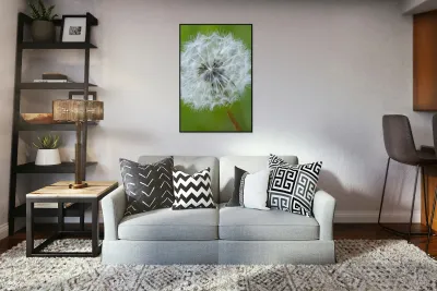 Dandelion Cowichan Valley Vancouver Island British Columbia Canada Reproduction