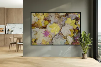 KO A04679 1 Reproduction