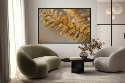 KO 50457 1 Reproduction