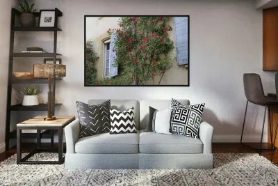 Roses climbing a wall Lourmarin Reproduction