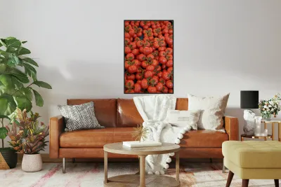 Tomatos at the Thursday Market - Boulevard Saint Germain Reproduction