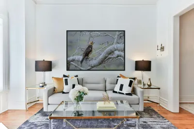 Galapagos Hawk Buteo galapagoensis Santiago Island Galapagos Islands Ecuador
 Reproduction