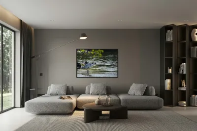 Great Blue Heron Ardea herodias Elizabeth Bay Isabela Island Galapagos Islands Ecuador Reproduction