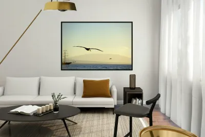 Brown Pelican Pelecanus occidentalis Elizabeth Bay Isabela Island Galapagos Islands Ecuador Reproduction