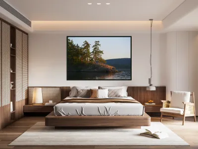 Arbutus and fir trees on the point at Conover Cove Reproduction