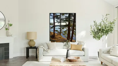 Fir trees on a grassy hillside. James Island Reproduction