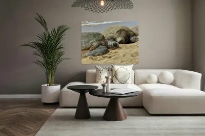 Turtle Couple Reproduction