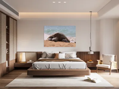 Maui Sea Turtle 2 Reproduction