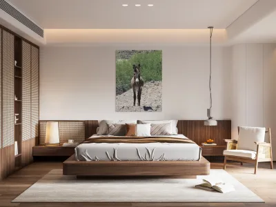 Wild donkey stand off Reproduction