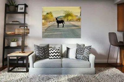 Topock Donkey Reproduction