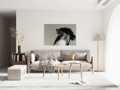 A burro named Stormy Reproduction