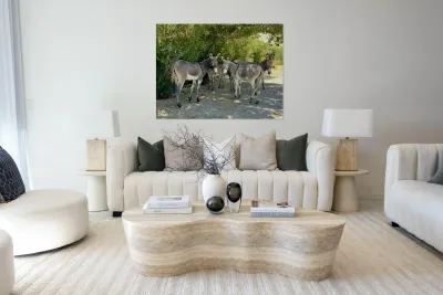 Lake Mohave Donkeys Reproduction