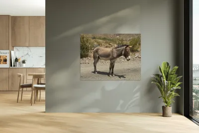 Heading to Oatman Reproduction