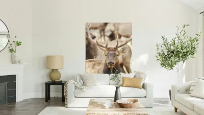 4A215C09 7526 4716 BD66 3AC285F47268 1 105 c Reproduction