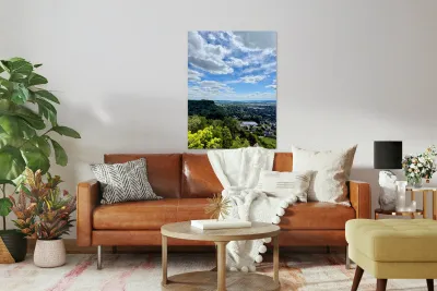 Sunlit Hometown Reproduction