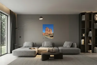 The Organ Reproduction