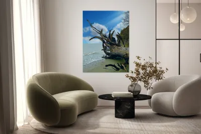 IMG 1646 Reproduction