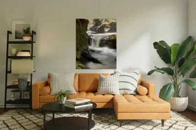 Forest Flow -2  Reproduction