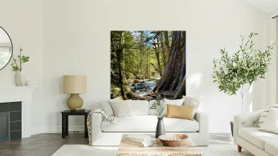 IMG 2451 Reproduction