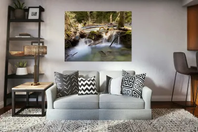 IMG 2445 Reproduction