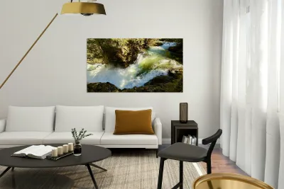 IMG 2460 Reproduction