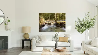 IMG 2442 Reproduction