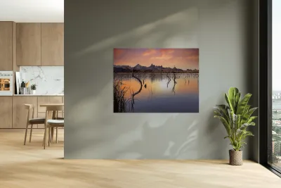 Catfish Paradise Reproduction