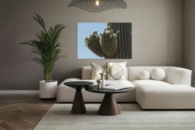 Saguaro blooms x 2 Reproduction