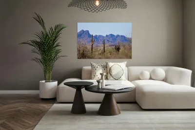 Desert landscape - Quartzsite Reproduction